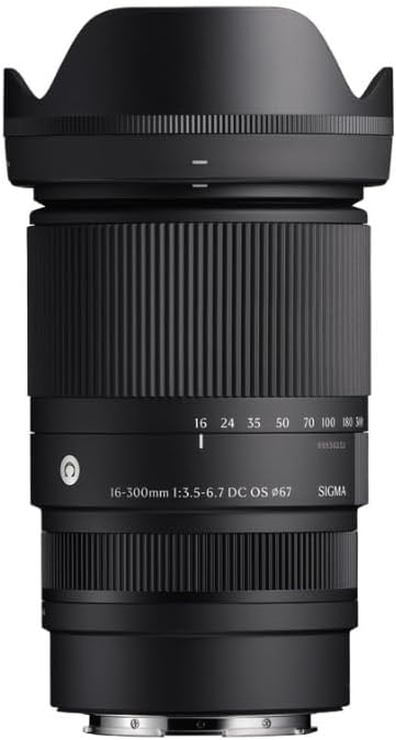 16-300mm F3.5-6.7 DC OS | Contemporary