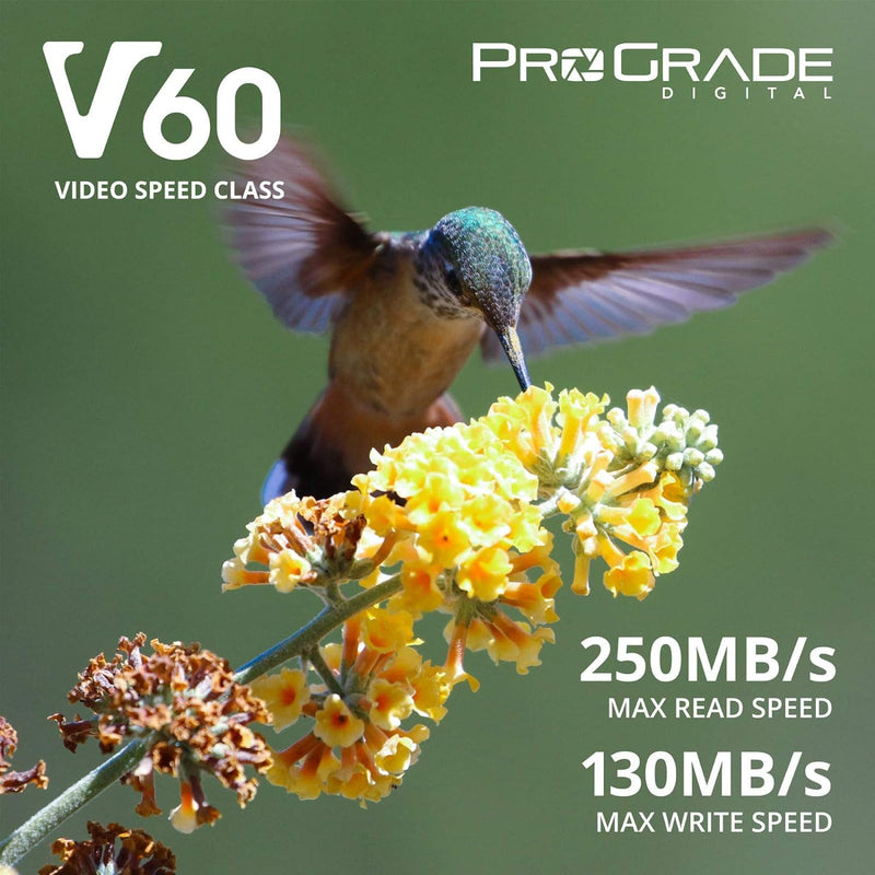 SD UHS-II 256GB Card V60 –Up to 130MB/s Write Speed and 250 MB/s Read Speed | for Professional Vloggers, Filmmakers, Photographers & Content Curators – by Prograde Digital