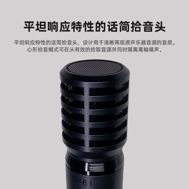 Shure/ Shure PGA81 condenser microphone acoustic instrument stage performance recording live wired microphone