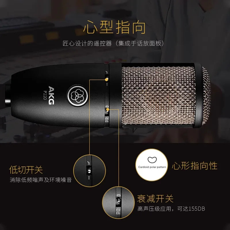 P220 Microfone De Diafragma Grande, K Song Vocal Instrumento, Live Broadcasting Equipment Set, Gravação De Microfone