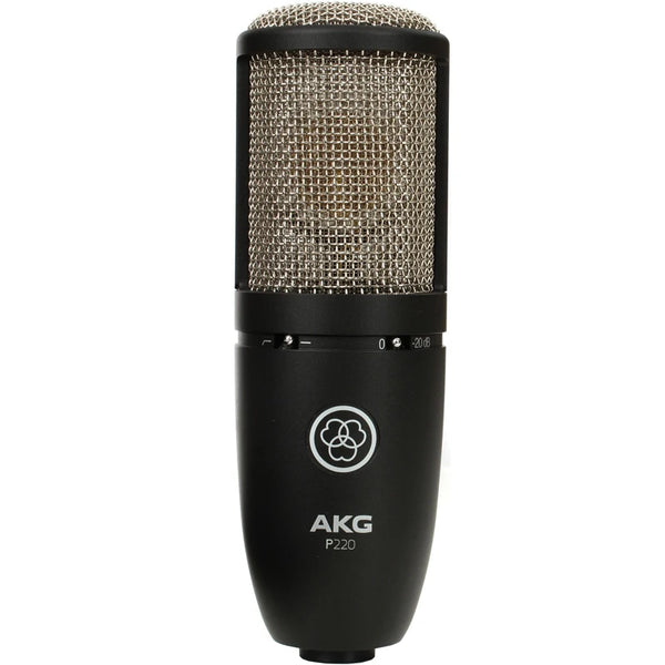 P220 Microfone De Diafragma Grande, K Song Vocal Instrumento, Live Broadcasting Equipment Set, Gravação De Microfone