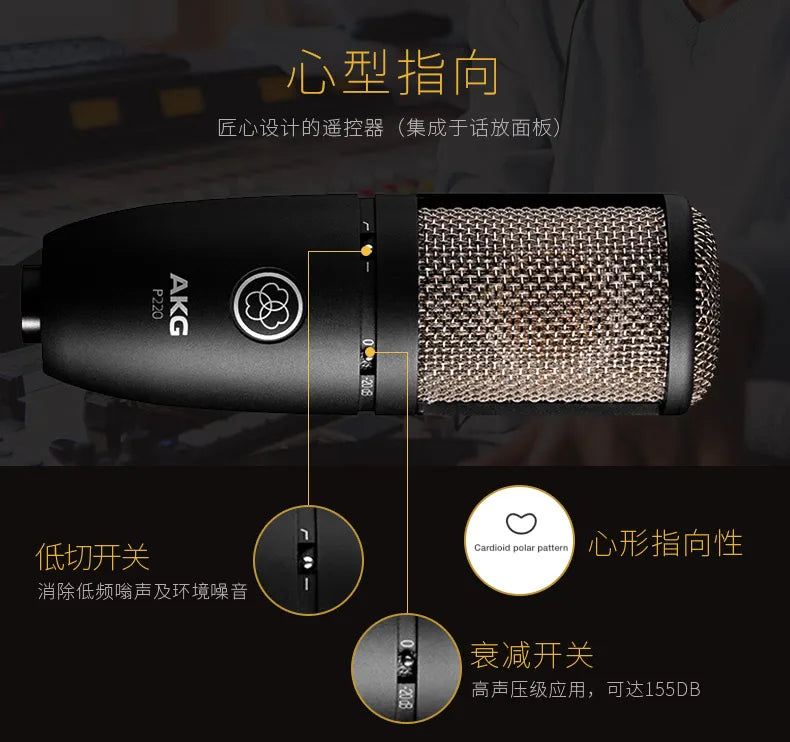 P220 Microfone De Diafragma Grande, K Song Vocal Instrumento, Live Broadcasting Equipment Set, Gravação De Microfone