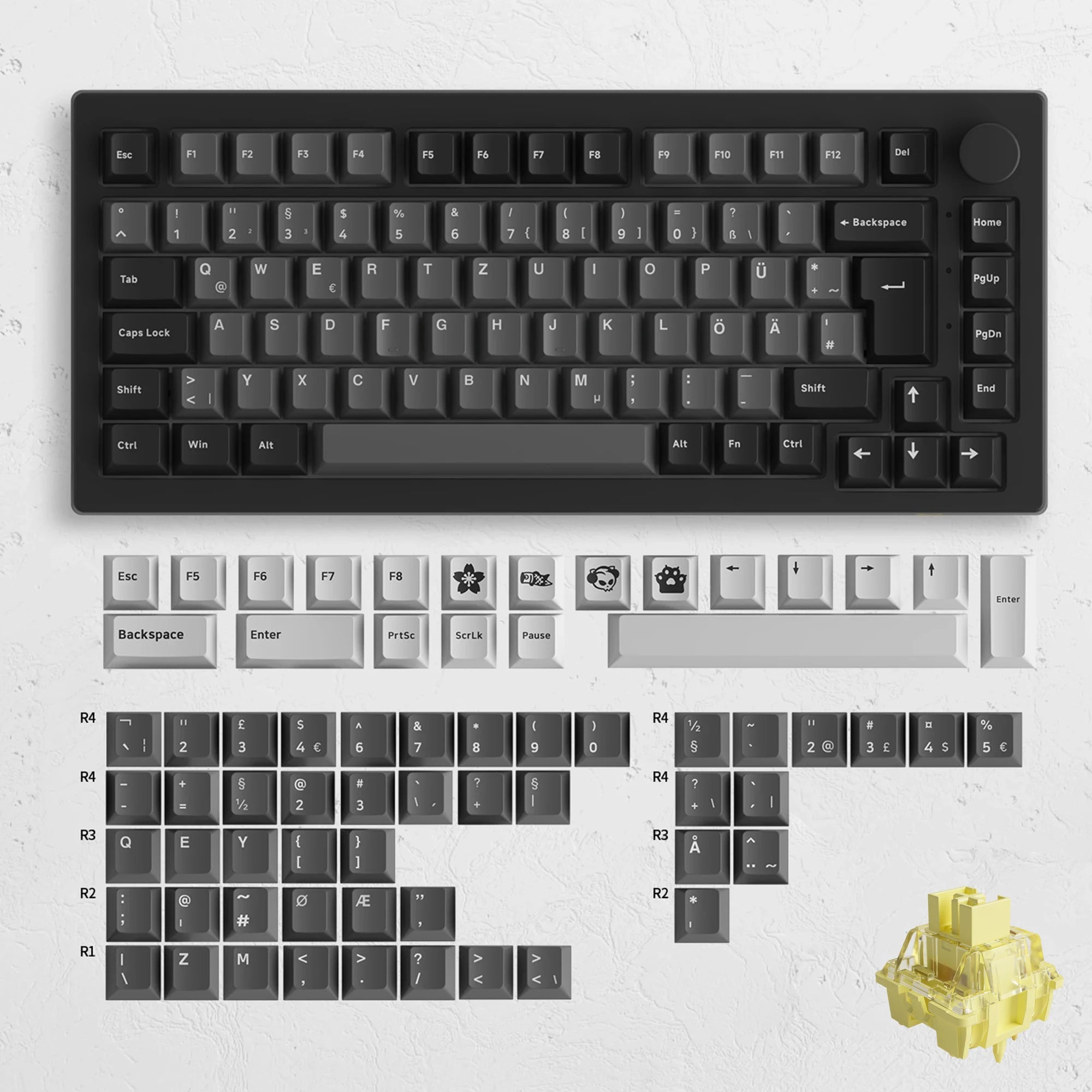 Akko 5075B Plus V2 Drácula Castelo Teclado Mecânico para Jogos 75% Multi-Modos Trocáveis a Quente RGB 2.4GHz Sem Fio/USB Tipo-C/BT 5.0