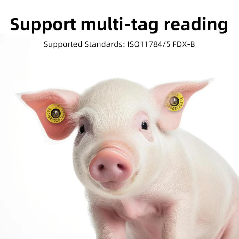 Animal Ear tag 134.2KHz ISO11785 Standard LF Passive RFID FDX-B ear tag for animal cattle sheep pig management