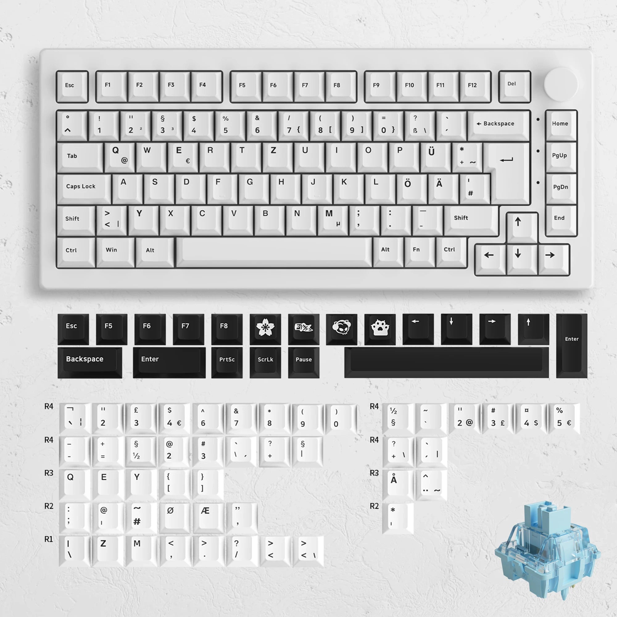 Akko 5075B Plus V2 Drácula Castelo Teclado Mecânico para Jogos 75% Multi-Modos Trocáveis a Quente RGB 2.4GHz Sem Fio/USB Tipo-C/BT 5.0