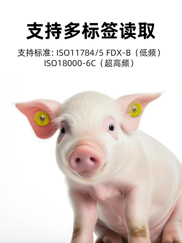 Animal Ear tag 134.2KHz ISO11785 Standard LF Passive RFID FDX-B ear tag for animal cattle sheep pig management
