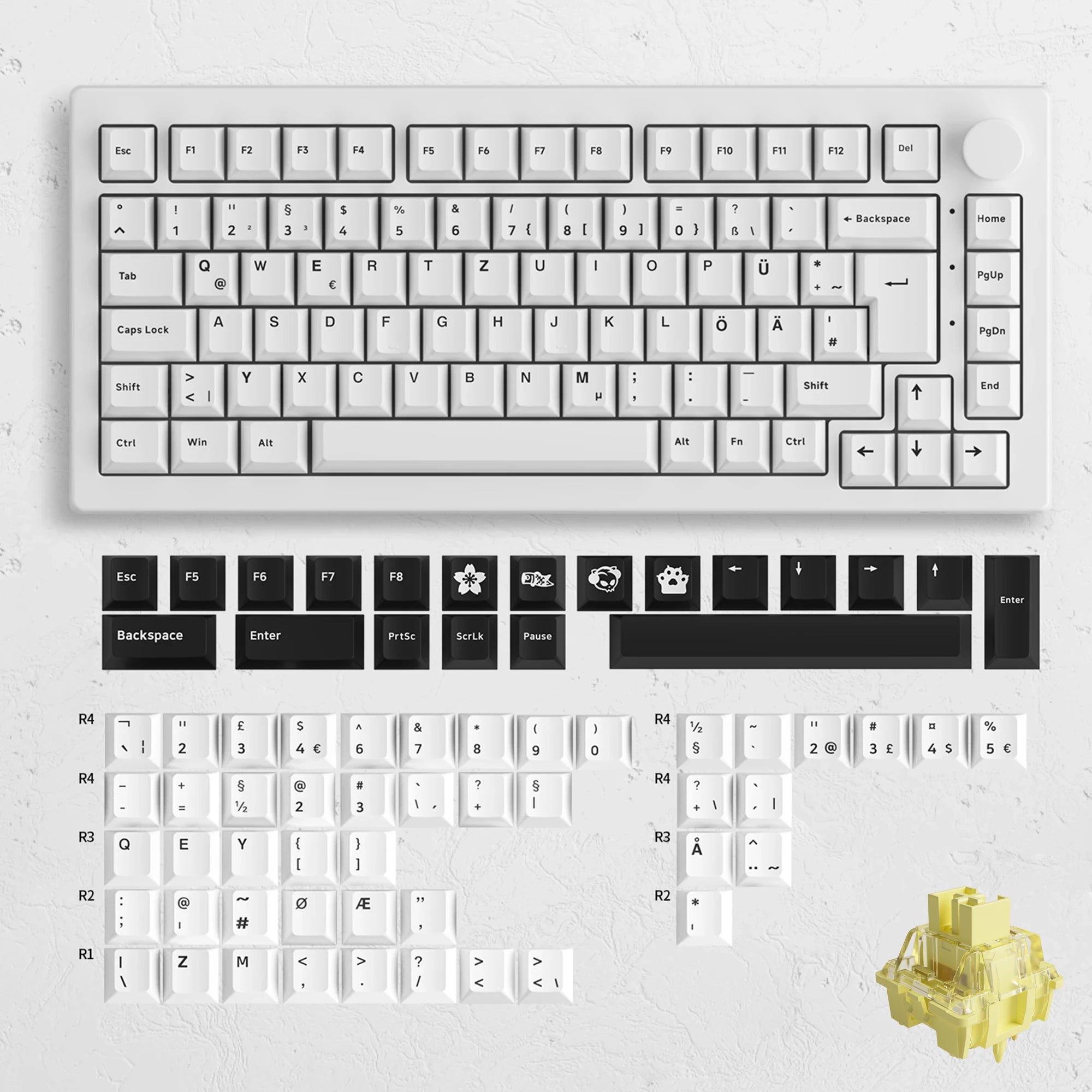 Akko 5075B Plus V2 Drácula Castelo Teclado Mecânico para Jogos 75% Multi-Modos Trocáveis a Quente RGB 2.4GHz Sem Fio/USB Tipo-C/BT 5.0