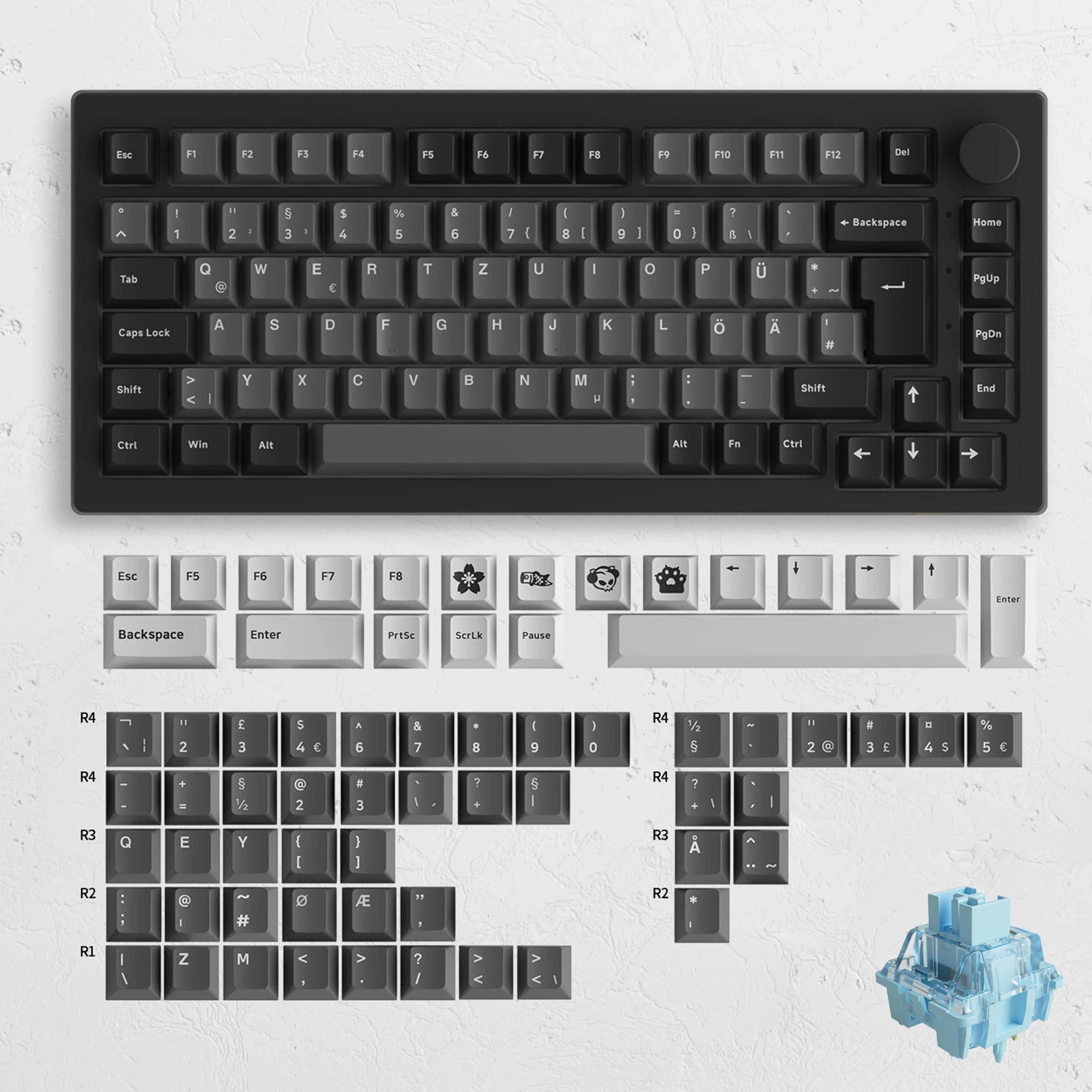Akko 5075B Plus V2 Drácula Castelo Teclado Mecânico para Jogos 75% Multi-Modos Trocáveis a Quente RGB 2.4GHz Sem Fio/USB Tipo-C/BT 5.0
